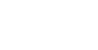 Raccoon Serious Games